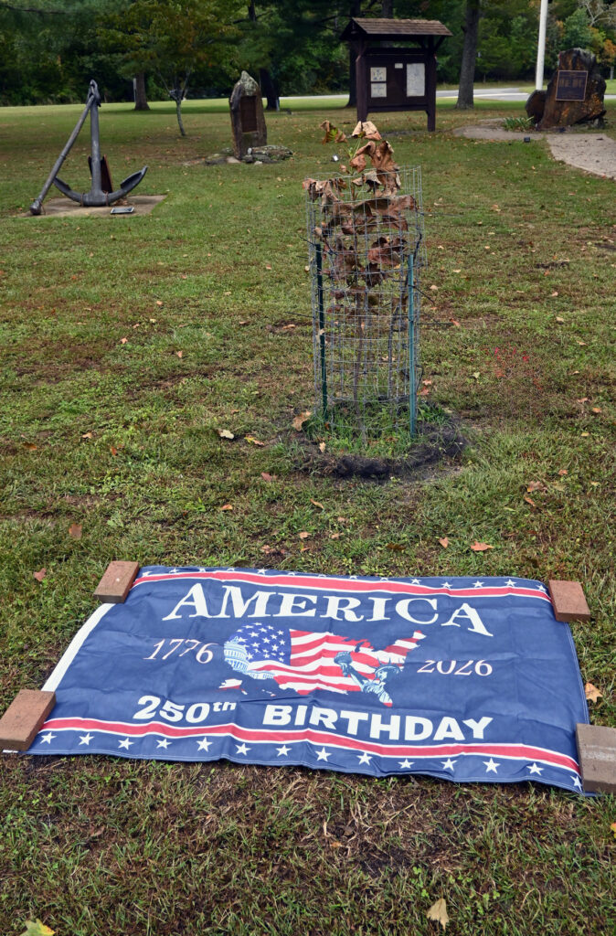 Our Liberty Tree